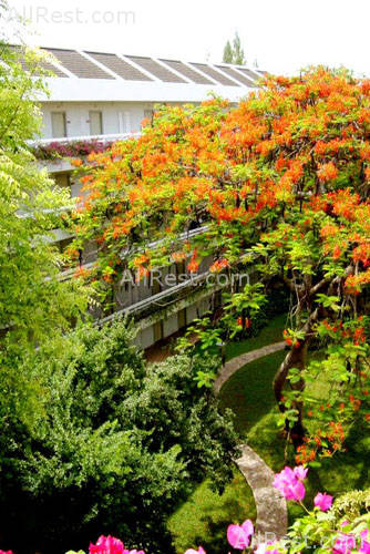 The Regent Cha-Am Beach Resort 8